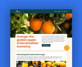 interactive-experience-template